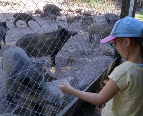 Ferienzeit Tierpark