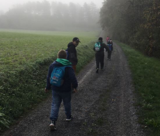 Wir sind zum Spiel•platz am Baum•hof in Marktheidenfeld gewandert.